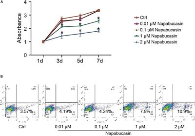 Napabucasin Induces Mouse Bone Loss by Impairing Bone Formation via STAT3